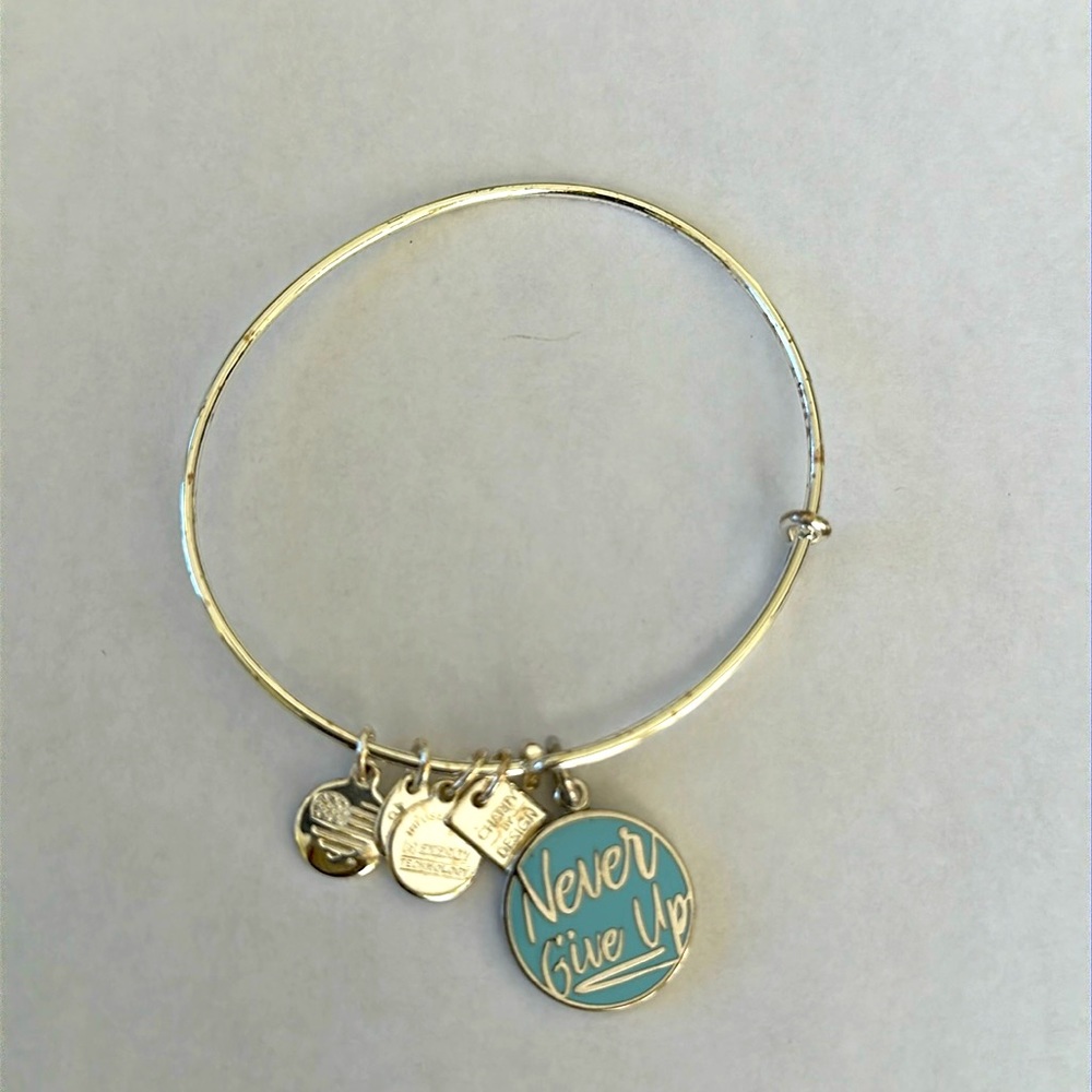 Alex and Ani Silver Bangle Charm Bracelet